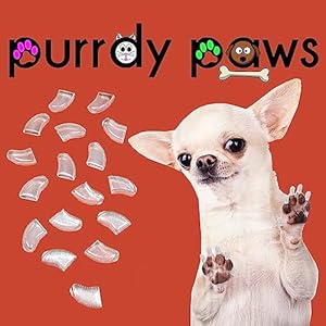 Purrdy Paws Soft Nail Caps 60 Packs for Dogs – Clear XL