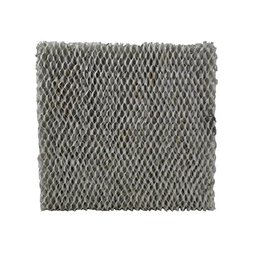 Air Filter Factory WB2-12 Pad
