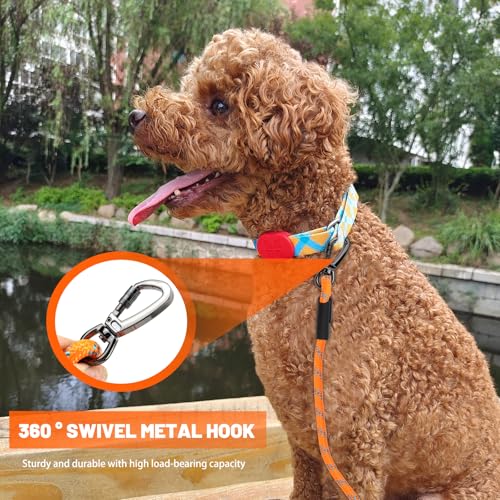 Hundeleine Biothane Schleppleine 5m Leine Hund für Kleine Mittlere Große Hunde Leicht Katzenleine Laufleine Hausleine für Hunde Führleine Hund mit Gepolsterten Griff und Karabiner Lange Dog Leash