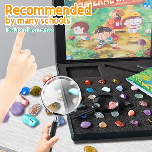 Kit de roche 43 pièces pour identifier facilement les minéraux