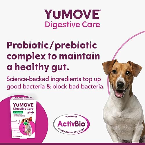 YuMOVE Digestive Care, Dog Pre and Probiotics Supplement for Gut Health and Digestive Support, All Ages and Breeds with Sensitive Digestion, 120 Tablets - Image 4