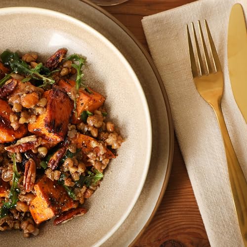Image of Gibson Elite Octavia Place 16 Piece Stoneware Dinnerware Set, Service for 4, Coupe Modern Plates & Bowls, Reactive Glaze Finish, Taupe, Microwave & Dishwasher Safe
