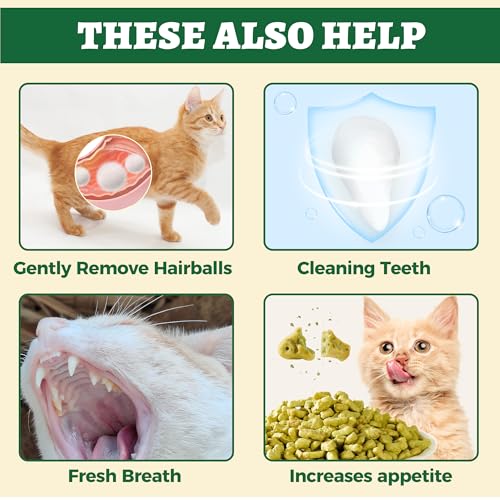 Wellix-450g16oz-Cat-Grass-Treats-Healthy-Kitten-Snacks-Natural-Salmon-Flavor-Dental-Cleaning-and-Hairball-Control-Catnip-Training-Biscuits-for-Indoor-Cats