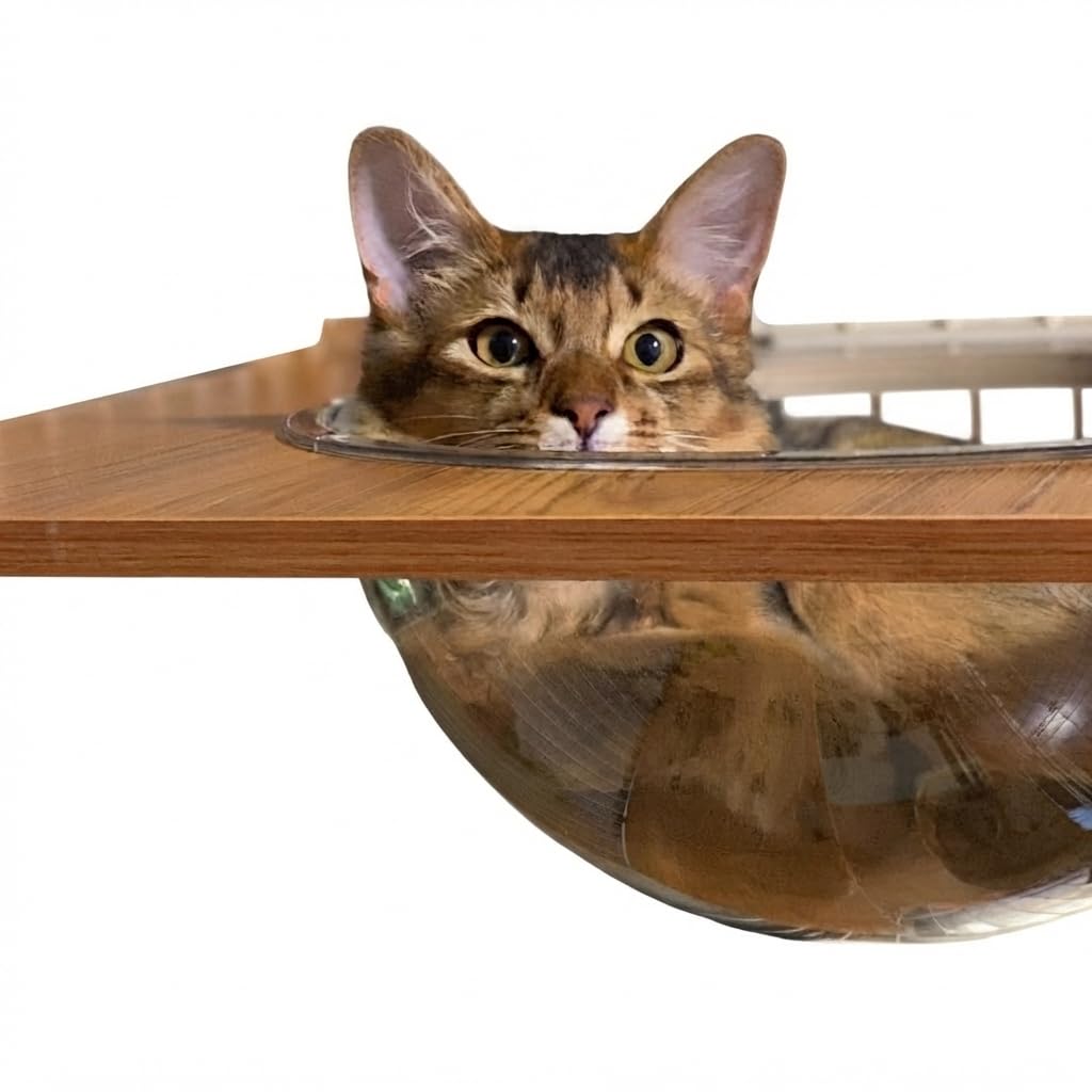 ieneko 猫　ねこの惑星 Amazon.co.jp: 【公式】 ieneko ねこの惑星 透明ボウル 猫 ケージ