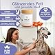 Omega 3 Fischöl Kapseln für Hunde & Katzen | 60 Weichkapseln für Glänzendes Fell, Starke Gelenke & EIN Gesundes Immunsystem | Hochdosiert mit EPA, DHA, Taurin & Vitamin E | Premium Qualität
