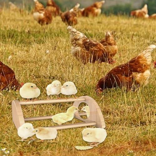 Image of YAYODS 2 Pack Chicken Perch for Baby Chicks, Wooden Chick Jungle Gym Roosting Bar, Chick Toys for Coop and Brooder, Parrot