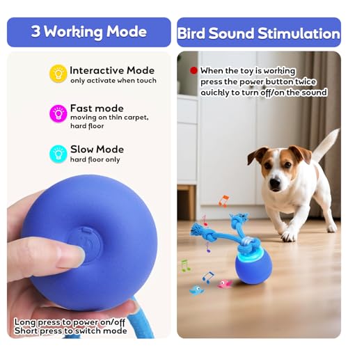 Jeux chien avec corde solide et balle interactive résistante pour stimuler l'activité - 4