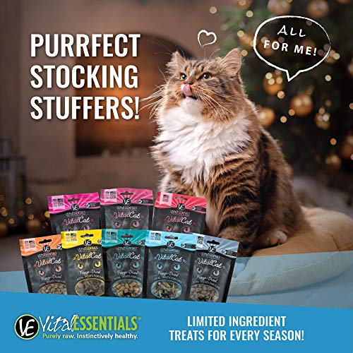 Vital Cat Freeze-Dried All-Natural Minnows Cat Treats, 0.5 oz. - Image 4