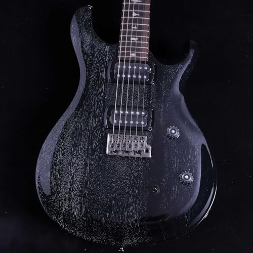 SE CE 24 Standard Black Doghair
