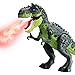 AHCo. Electric Walking Dinosaur Toys for Kids - Small Tyrannosaurus Toy with Simulated Flame and Realistic Sounds, Best Gift for 3-5 4-6 5-7 Year Old Boys & Girls