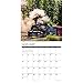 Colorado Narrow Gauge Railroads 2020 Wall Calendar