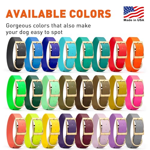 Image of Viper Biothane Heavy Duty Waterproof Dog Collar Strong Coated Nylon Webbing w /Solid Brass Hardware Odor-Proof for Easy Care to Clean High Performance Fits Small Medium or Large Dogs, Amethyst Purple