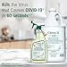 Citrus II Hospital Germicidal Deodorizing Cleaner - Fresh Citrus Scent - 1 Gallon - Refill - Disinfecting Cleaner for Home, Hospital and Office Areas