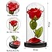 DECO EXPRESS Rosa Bella y Bestia Con Luces Led Suaves, Cupula de...