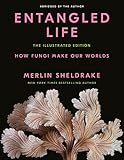 Entangled Life: The Illustrated Edition: How Fungi Make Our Worlds