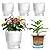 T4U 6 Inch Self Watering Pots for Indoor Plants, 4 Pack Self Watering Planter, Self Watering Pot with Reservoir, Clear Self Watering Pots for Indoor Plants, African Violets (4 Pack, 6", Clear)