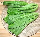 Small Gai Choi Seeds! Very Tasty & Prolific!!! Easy to Grow! Green, Chinese Mustard, 100 - Seeds)