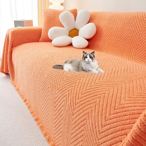 YKFN }`Jo[ \t@[Jo[ ~p  k 邾 ӂӂ ` 2l| 3l| uPbg \t@Jo[ ~  ybgΉ h~ \t@[΁[ _炩 n JE` xbhJo[ h ۉ e[uN