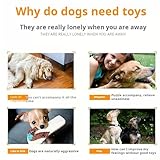 GmwyCzV Hundespielzeug,Plüsch Hundespielzeug mit Quietscher,uietschende welpenspielzeug,Plüsch Löwe Kauspielzeug Unzerstörbar,Weiches Hunde Kuscheltier für Kleine und Mittelgroße Hunde,32 cm