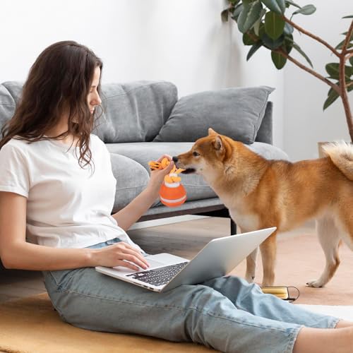 TZQFROCE Interaktives Hundespielzeug Hunde Ball Spielzeug Automatisch Rollender Ball für Hunde interaktiver Hundespielball für Aktivitäten und Unterhaltung