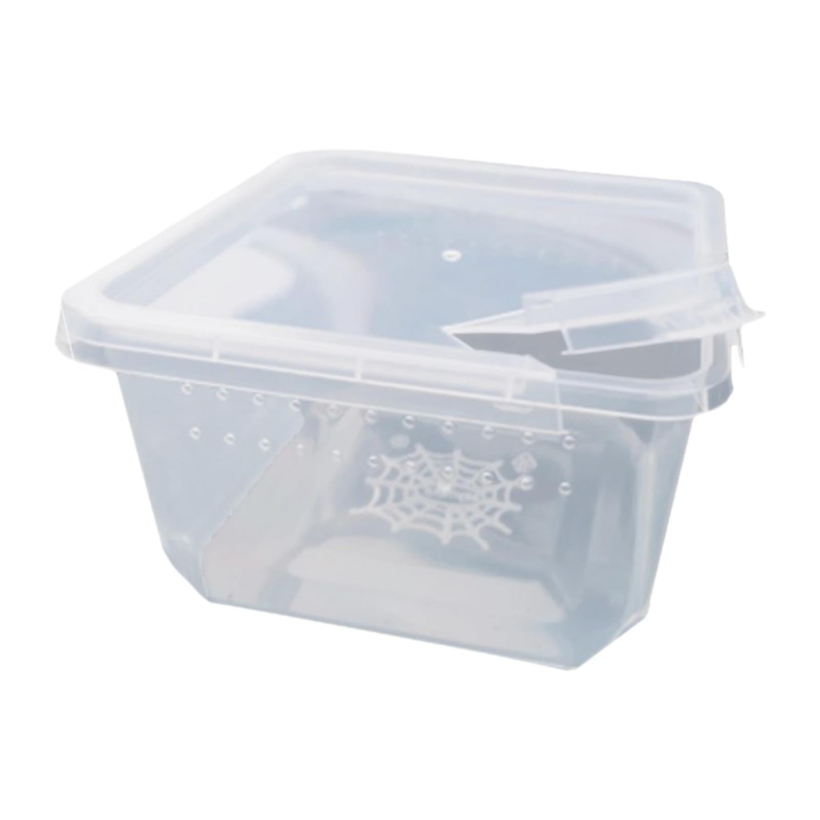 Photo inspiration: Gallery Detail: Handheld Terrarium Reptile Feeding Box Terrarium Breeding Box