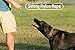The Nero Ball Classic TM - K-9 Ball On a Rope Reward and Exercise Toy - Police K-9 - Schutzhund