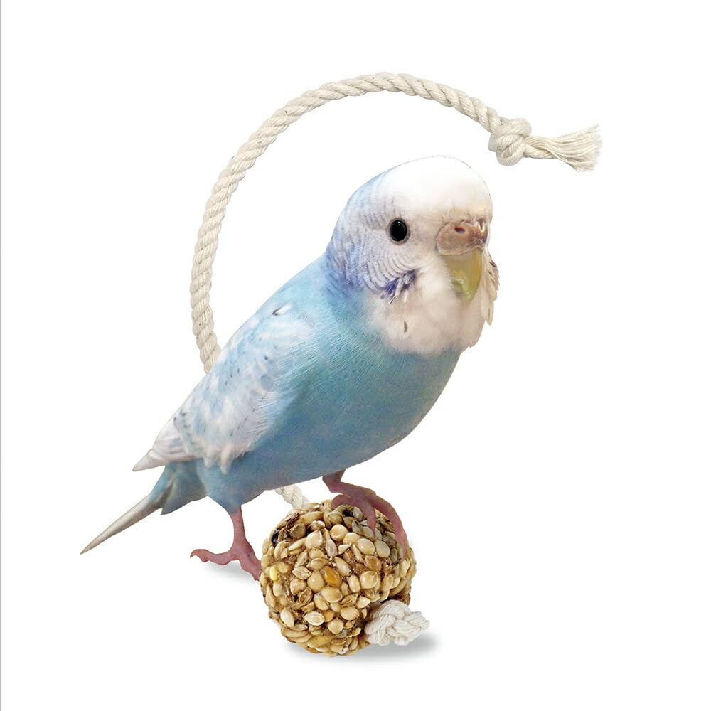 Amazon | （まとめ買い）マルカン インコのシリアルボール S 6個 鳥用