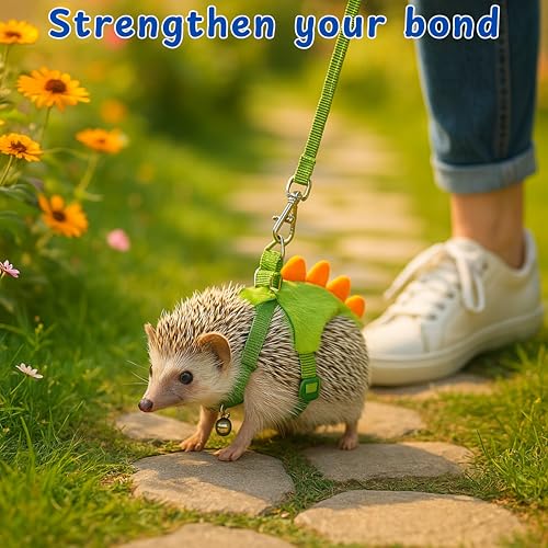 Image of Hedgehog Leash and Harness Clothes Accessories, Dinosaur Shaped Harness Leash for Training Playing, Hamster Clothes for Ferret Guinea Pig Hamster, Hedgehog Accessories, Guinea Pig Outfits (Green)