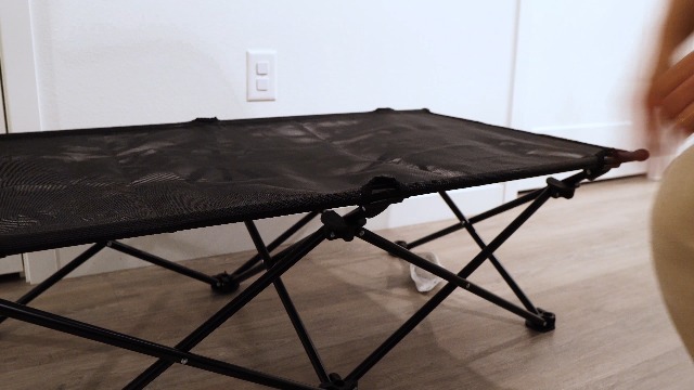 Amazon | KingCamp ドッグコット 犬用ベッド ペットベッド アウトドア