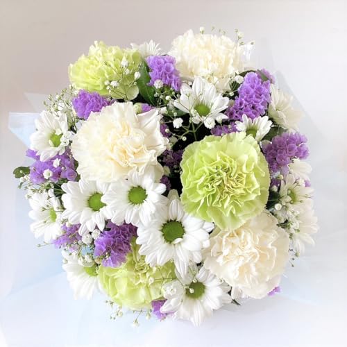 ԋE{X yGWz t[AWg 2R×2R pAWg p AWg    AW @ 䋟    ފ V~ ~  @v l\ 