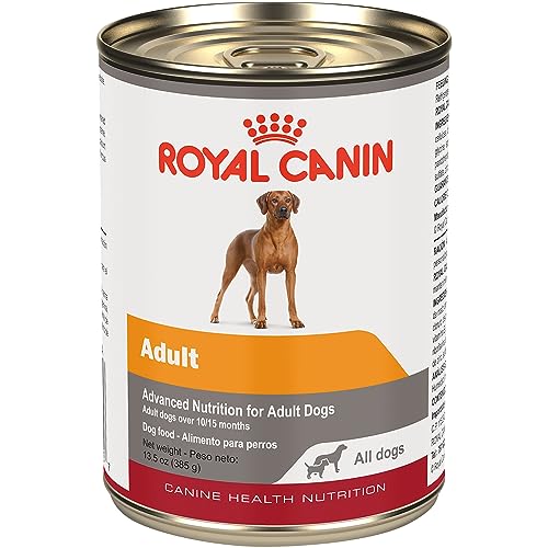 Royal Canin Canine Health Nutrition Adult In Gel Canned Dog Food, 13.5 oz can(Pack of 12)