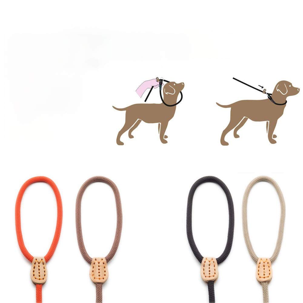 Correa retráctil para perros Correa para perros Collar antideslizante para mascotas Correas para caminar Perro de nylon Cuerda para escalar montañas Tracción para mascotas para perros medianos y gra
