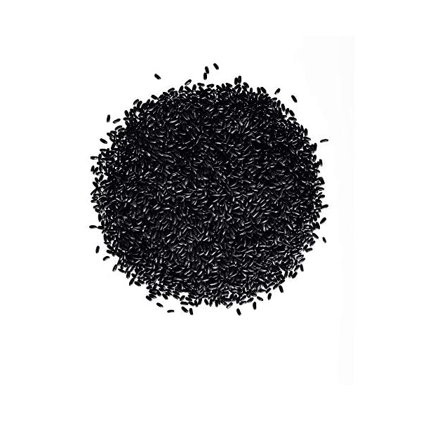 Nexxus-Keraphix-Masque-for-Damaged-Hair-15-oz-Pack-of-20 Nexxus Keraphix Masque, for Damaged Hair, 1.5 Ounce (Pack of 20)