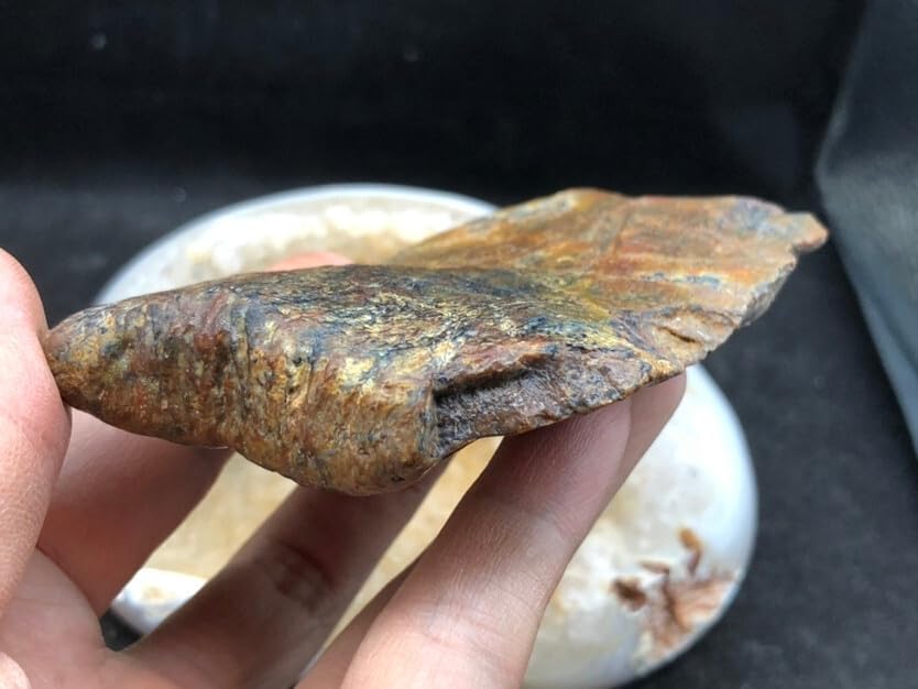 Jurassic Ancient Giant Beast Armor Fossils