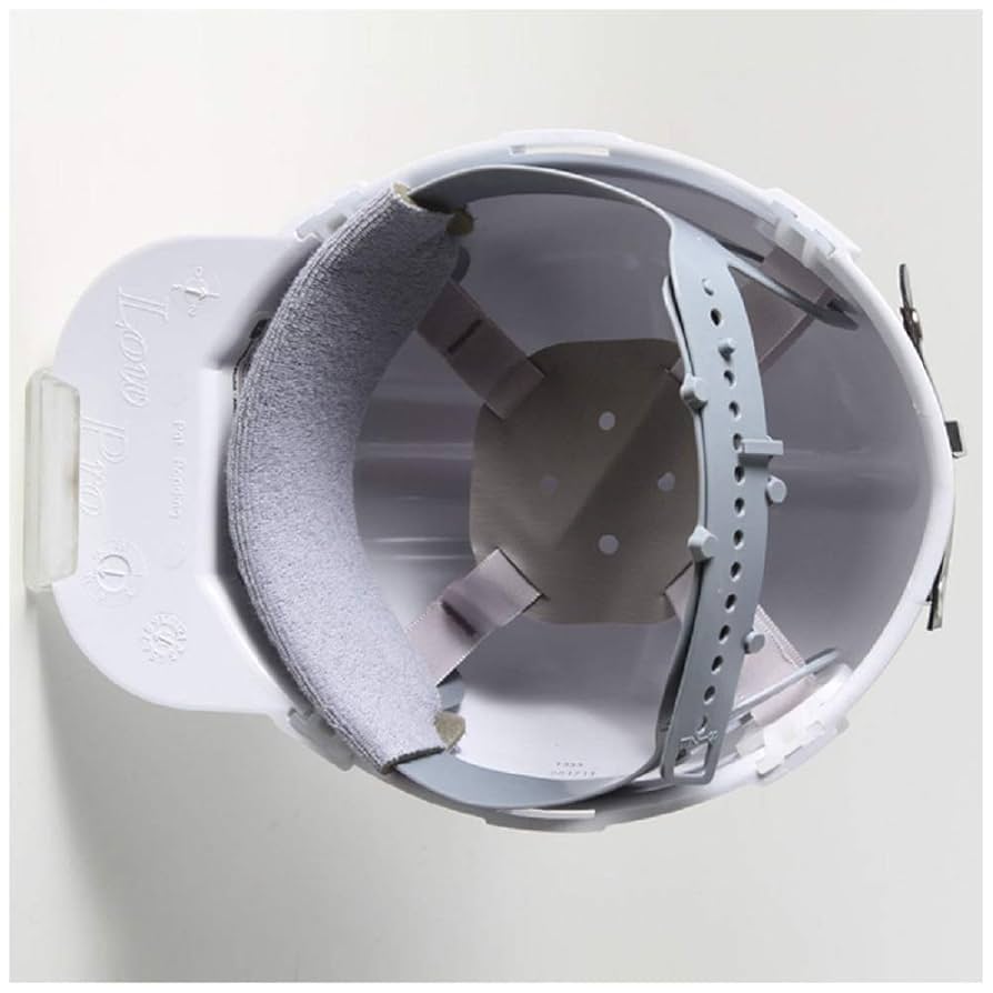 ●LP Pros Vol.1 The Complicators - S/T - Pirates Press Records