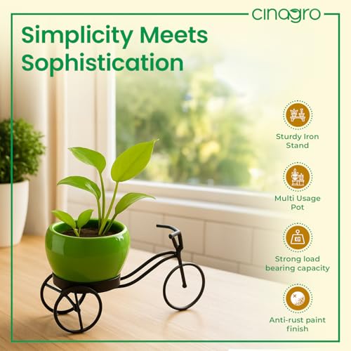 Image of CINAGRO Cycle-Shaped Metal Plant Stand for Indoor & Outdoor Use, Metal Cycle Flower Vase, Decorative Iron Planter Pot Holder for Flowers & Ornaments (18 x 8 x 8cm) Style: Urban Pedal, Small