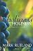 Holiness: The Perfect Word to Imperfect People (Word of Life Series)