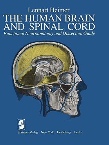 The Human Brain and Spinal Cord: Functional Neuroanatomy and Dissection ...
