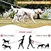 PETTOM Heavy Duty 2 Way Dog Lead Metal Chain Double Pet Clip Leash Coupler 360° Swivel No Tangle Double Dog Walking & Training Leash(S 3.0mm*50cm Double Leash, Silver)