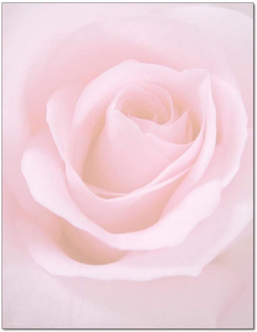 Blushing Rose Letterhead - 100 Sheets/Pack - 1 Pack