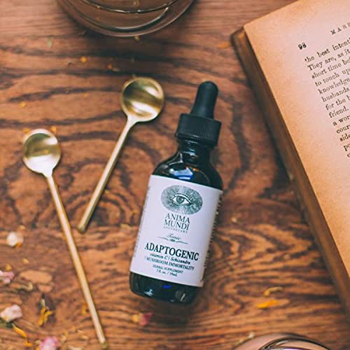 Anima Mundi Adaptogenic 7 Mushroom Drops - Adaptogenic Blend with Organic Mushroom Extracts - Liquid Immune Support Tincture with Reishi, Lion's Mane, Cordyceps & Chaga Mushroom Liquid Extract (2oz) - Image 5