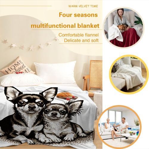 Couverture Polaire 240 x 260 Animal Chien, Couverture Polaire Grande Taille 240x260 cm | Usage Multiple comme Couette d'Appoint, Assure Une Protection Contre Le Froid I15-