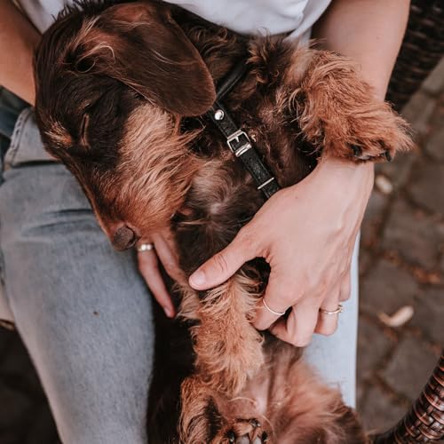 Hunter Hundegeschirr Round & Soft Canadian UP, Farbe: schwarz, weiches, geschmeidiges Leder, rundgenäht, fellschonend, nachhaltig, Made in Germany, Größe: S-M