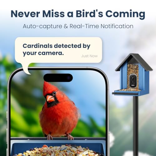 Image of Smart Metal Bird Feeder with Camera, Light Blue