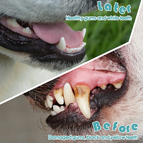Image of Gerrii 200 Count Dog Toothbrush Double Headed Pet Toothbrush Long Handle Dog Tooth Brushing Kit Soft Bristles Pet Tooth Brush for Doggy Cat and Most Pets Teeth Cleaning Dental Oral(Blue)