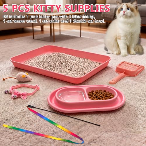 Kitten Starter Kit para gatitos en interior, incluye arenero rosa miniatura 4
