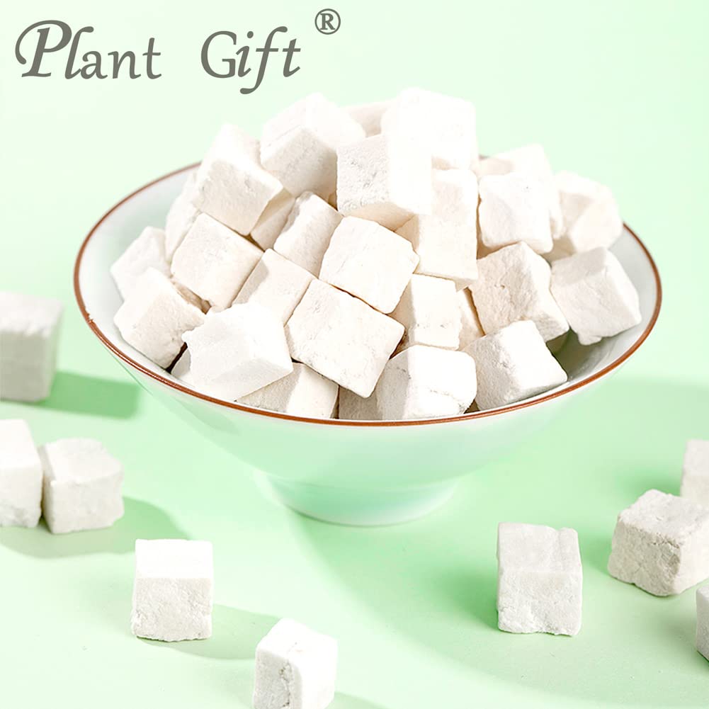 Plant Gift 100% Pure Poria Cocos Powder 茯苓粉 Farina naturale di cacao di poria, ottimo sapore per bevande, aggiunge sapore e sapore in polvere non OGM, senza riempitore, senza additivi 100G/3.25oz