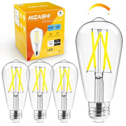 Hizashi LED Edison Bulbs, 6W, Equivalent 60W, Dimmable E26 LED Bulb, Daylight 5000K, 90+ CRI 700 Lumens, ST19 Vintage Light Bulbs, Clear Glass, Pack of 4 Daylight 5000k 4 Pack