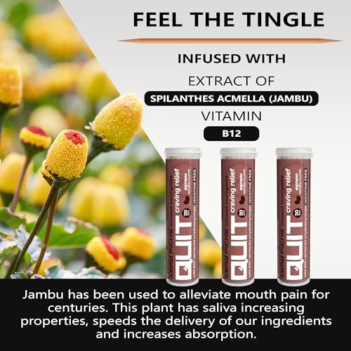 Image of Xero Picks Infused Flavored Toothpicks to Help Quit Smoking - Nicotine Free (Espresso, 3 Pack) Non-GMO Kosher Vegan