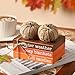 KORMMCO Fall Tiered Tray Decor, Wood Book Stack with Maple Leaves & Pumpkins, Farmhouse Mini Decorative Books Bundle, Fall Decor for Table, Brown